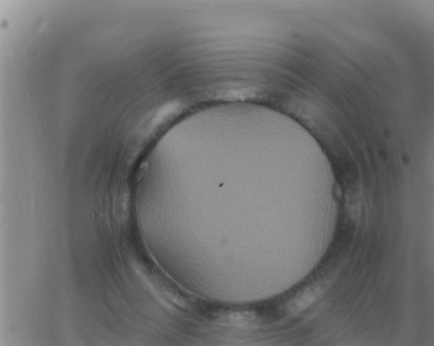 X0000062830304200601271958