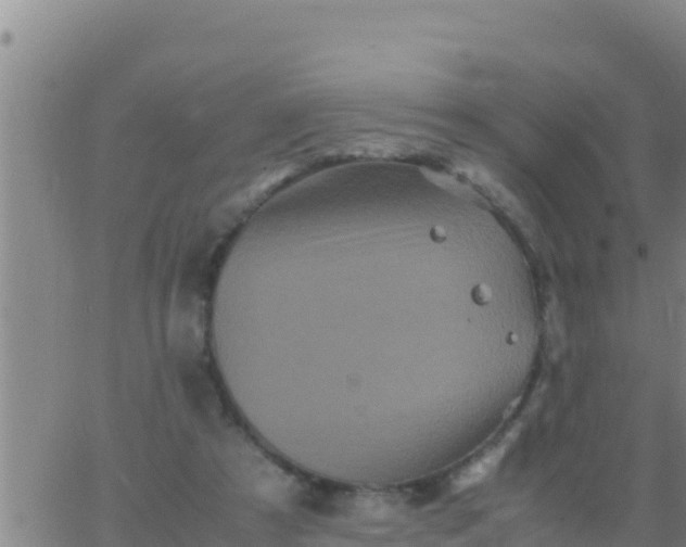 X0000062830305200601271958