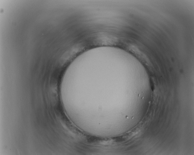 X0000062830306200601271958