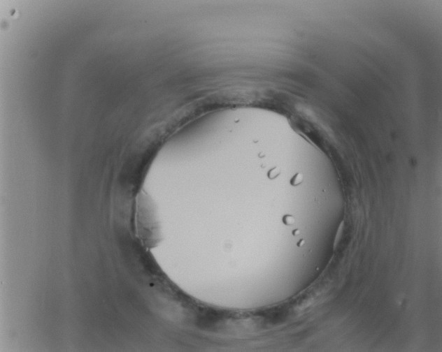 X0000062830307200601271958