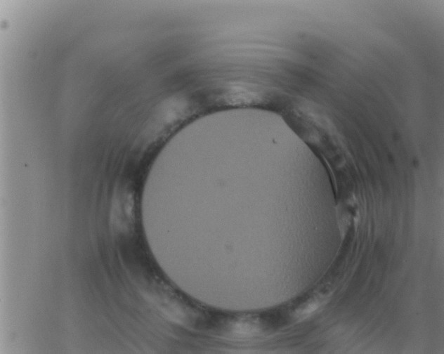 X0000062830308200601271958