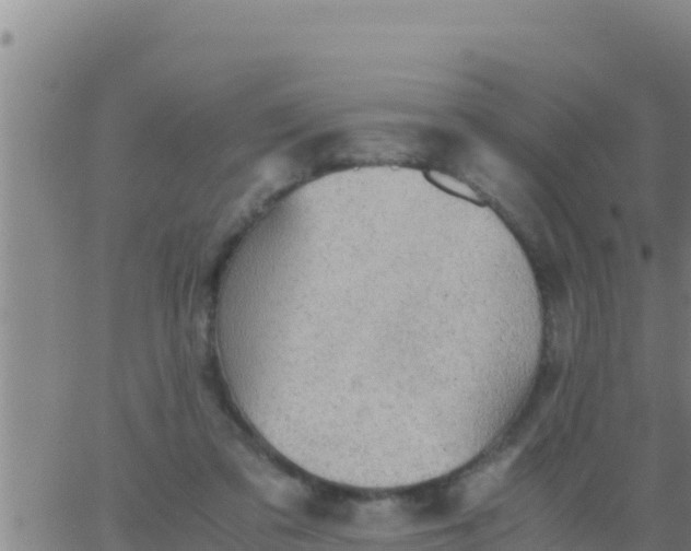 X0000062830309200601271958