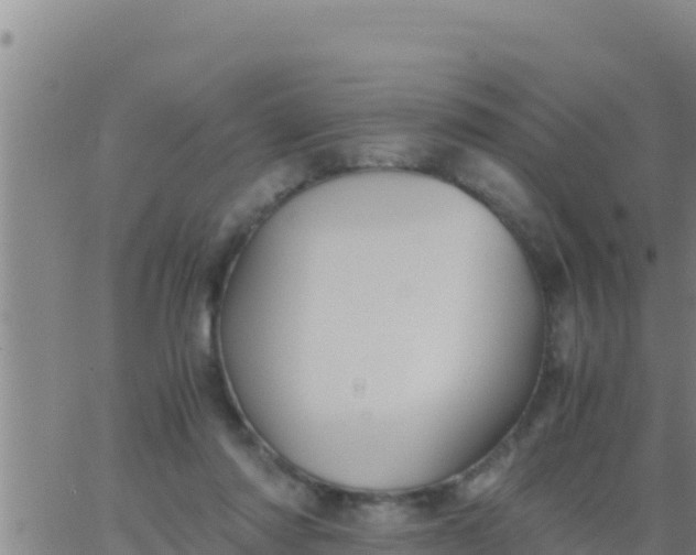 X0000062830310200601271958