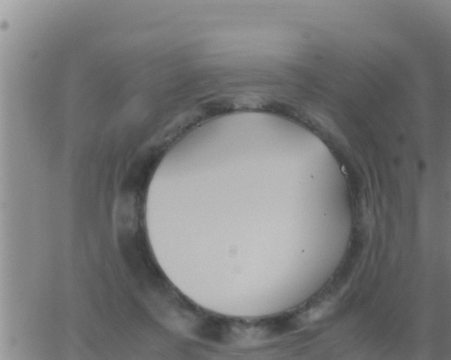 X0000062830311200601271958