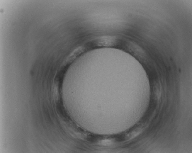 X0000062830312200601271958