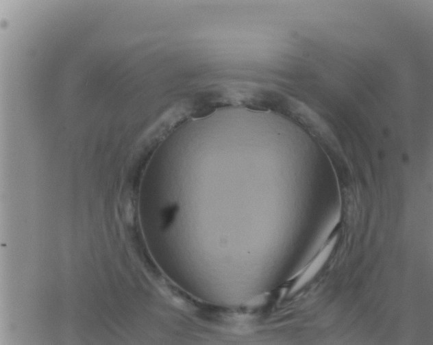 X0000062830313200601271958