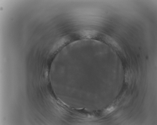 X0000062830314200601271958