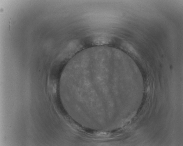 X0000062830315200601271957