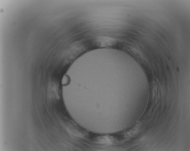 X0000062830316200601271957