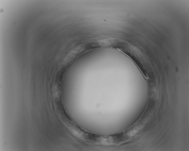 X0000062830317200601271957