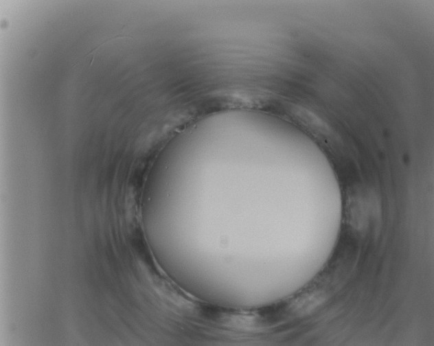 X0000062830318200601271957