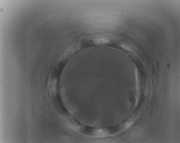 X0000062830319200601271957