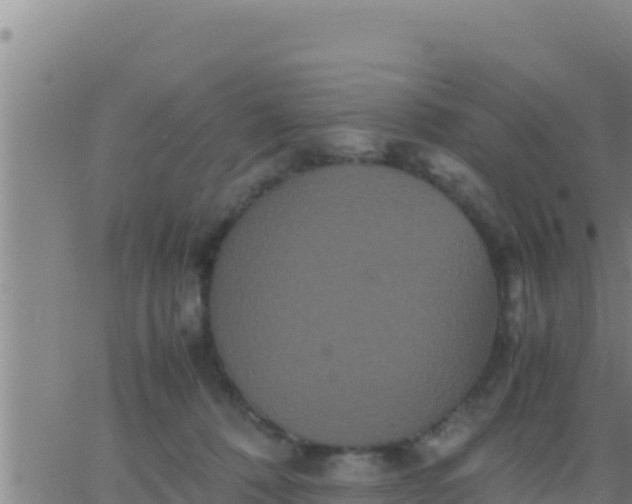 X0000062830320200601271957