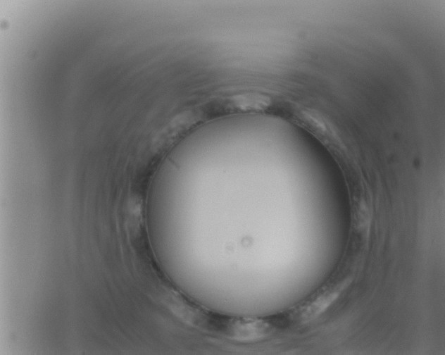 X0000062830321200601271957