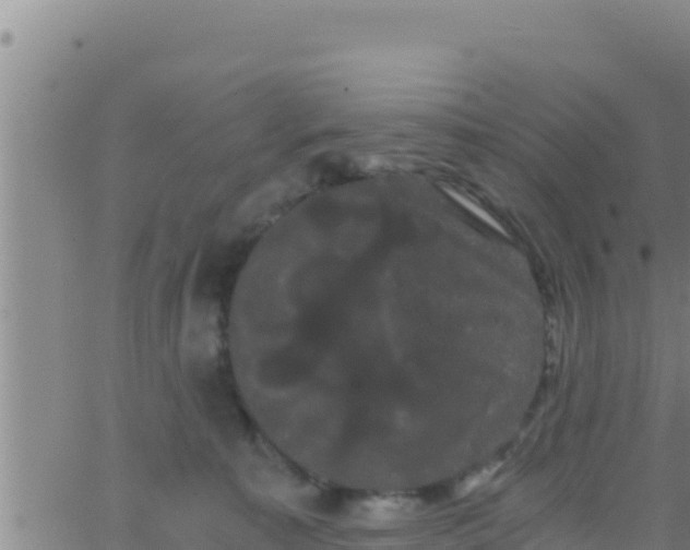 X0000062830323200601271957