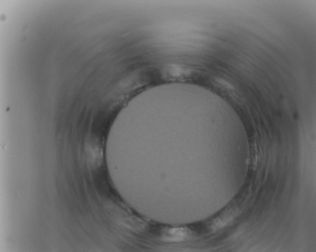 X0000062830324200601271957