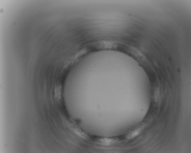 X0000062830326200601271957