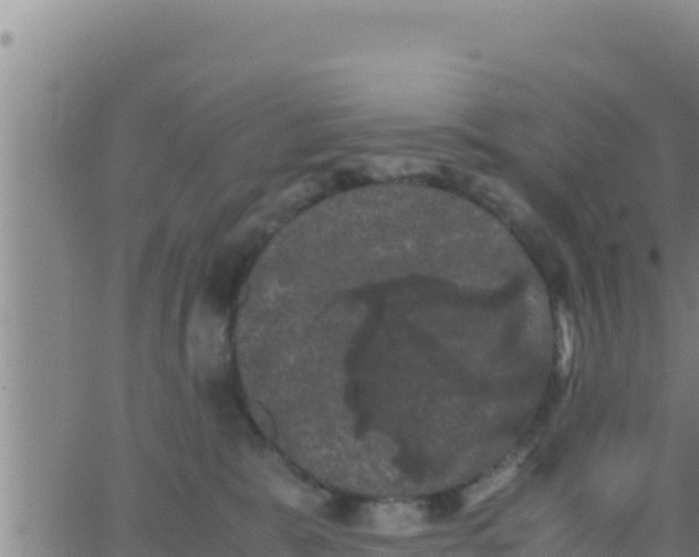 X0000062830327200601271957