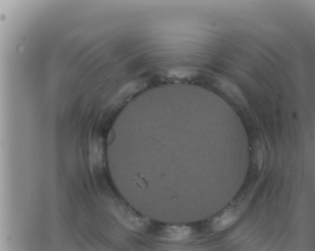 X0000062830328200601271957