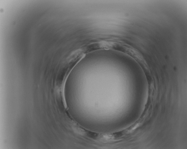 X0000062830329200601271957