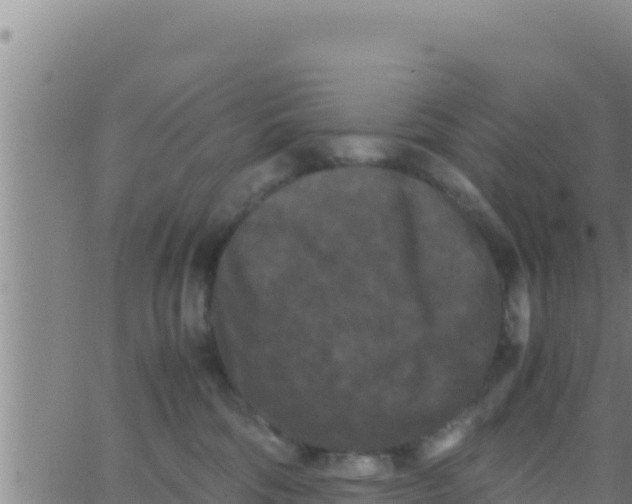 X0000062830330200601271957