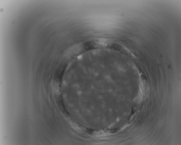 X0000062830331200601271957