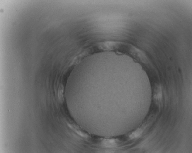 X0000062830332200601271957