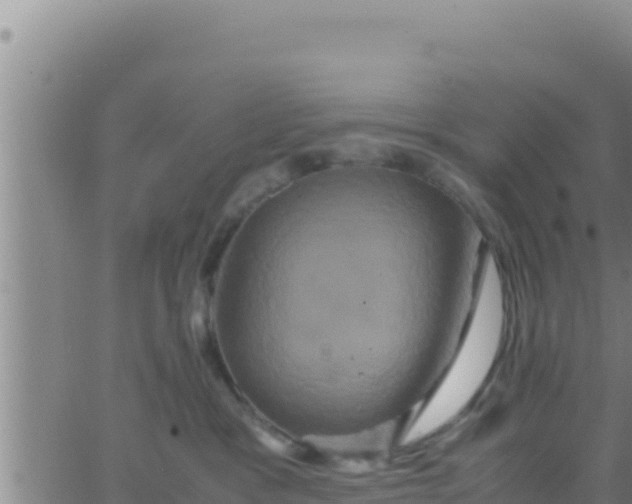 X0000062830333200601271957