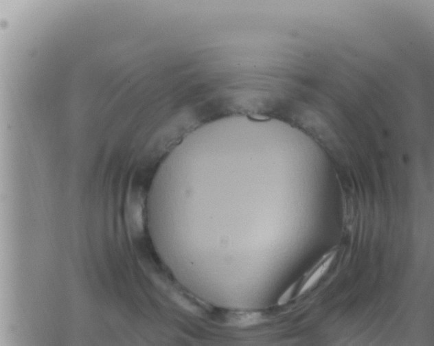 X0000062830334200601271957