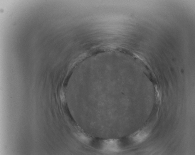 X0000062830335200601271957