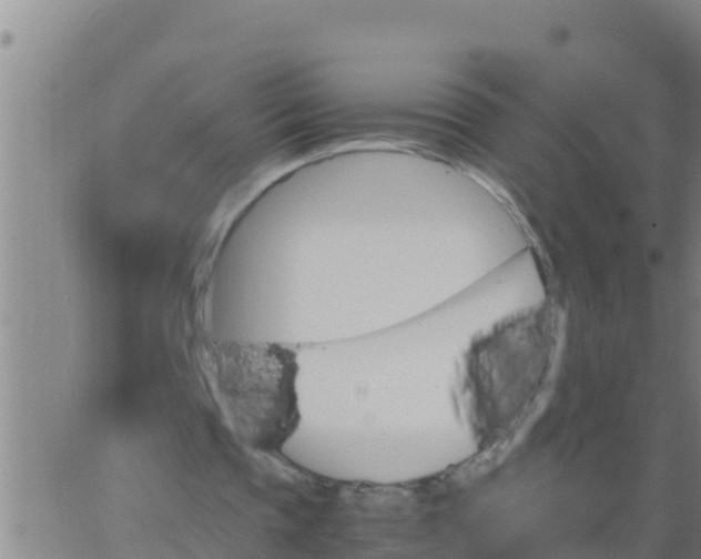 X0000062830337200601271956