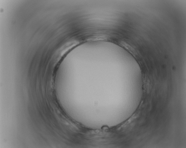 X0000062830338200601271956