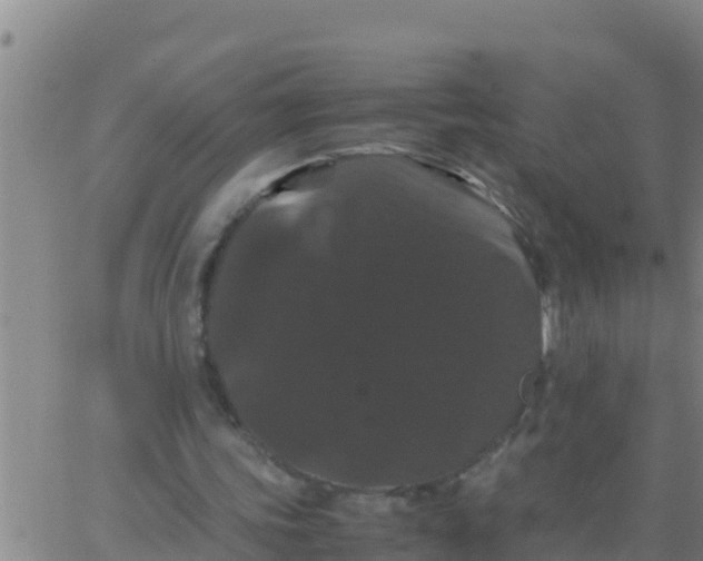 X0000062830339200601271956