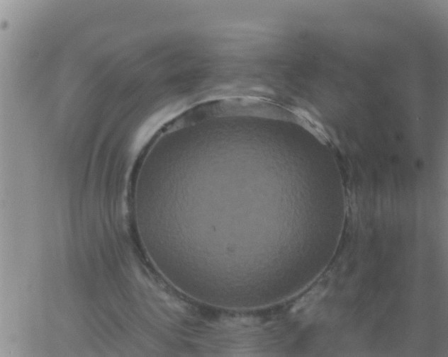 X0000062830340200601271956