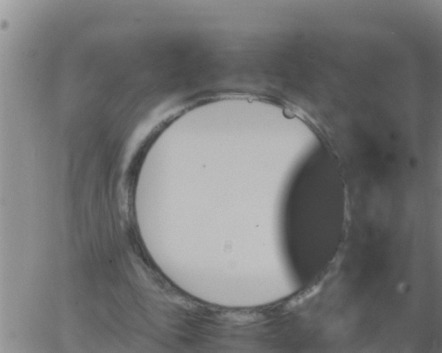 X0000062830343200601271956