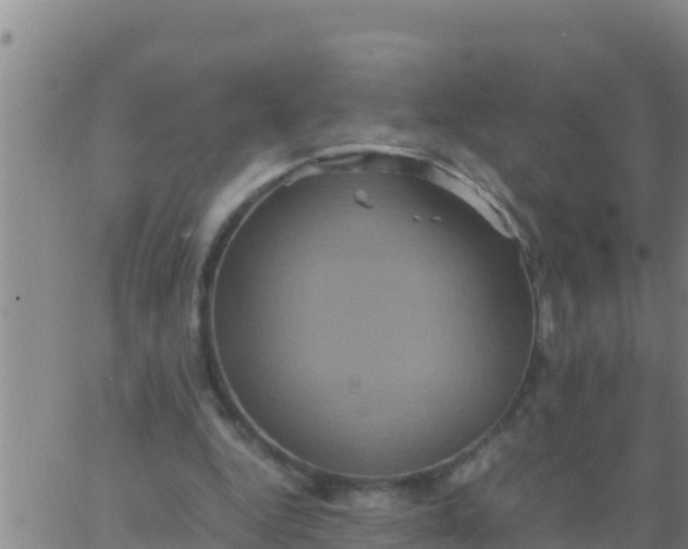 X0000062830344200601271956