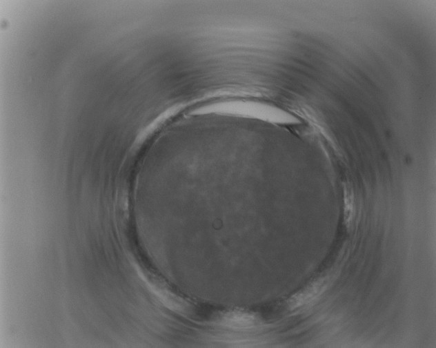 X0000062830348200601271957