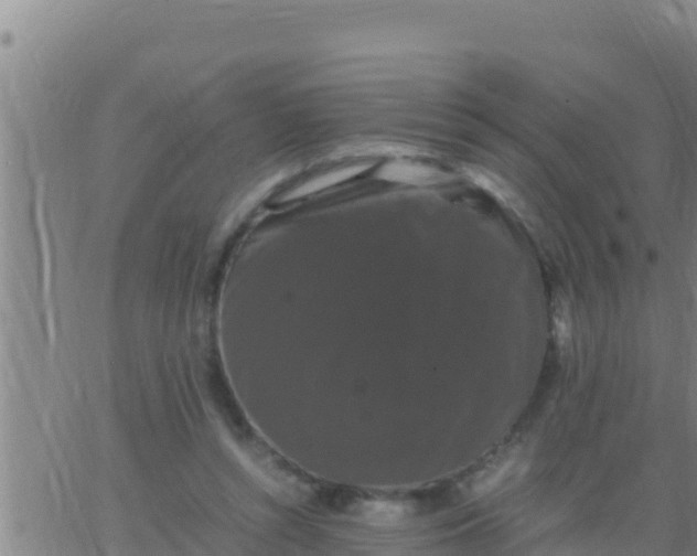 X0000062830352200601271957