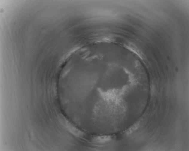 X0000062830353200601271957