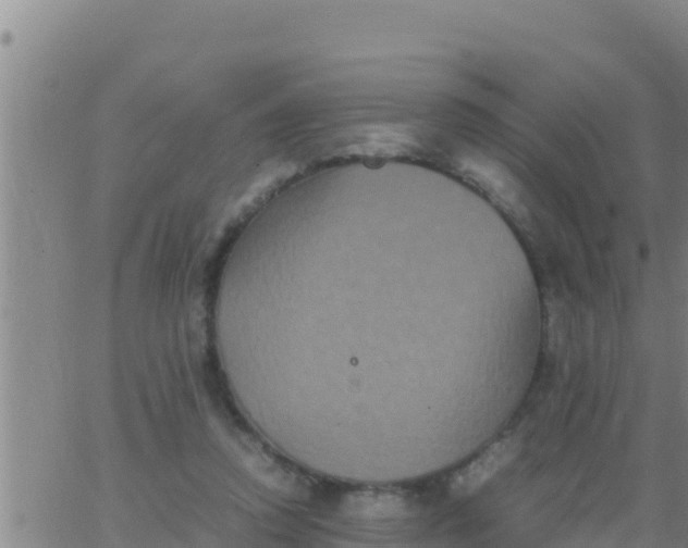 X0000062830354200601271957