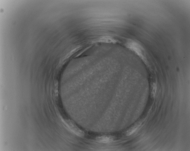 X0000062830356200601271957