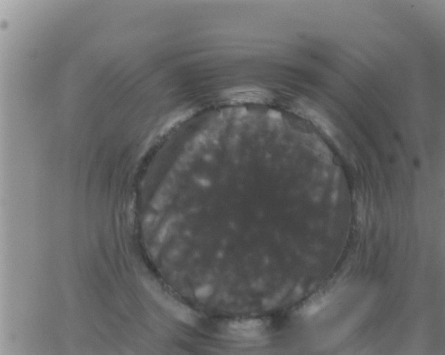 X0000062830357200601271957