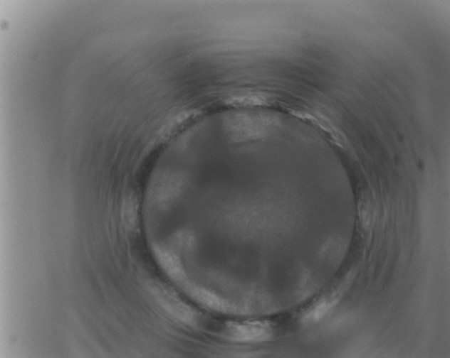 X0000062830359200601271957