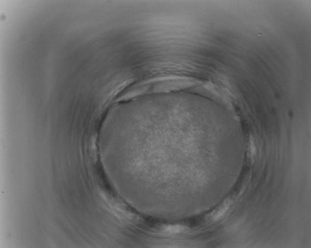 X0000062830360200601271957