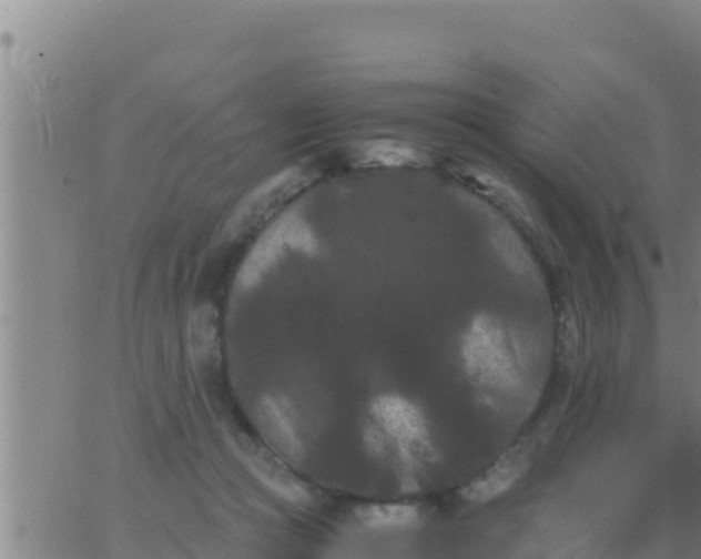 X0000062830361200601271957