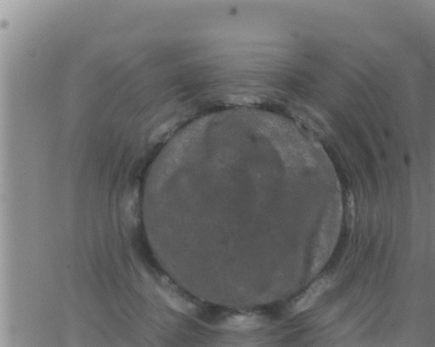 X0000062830364200601271957