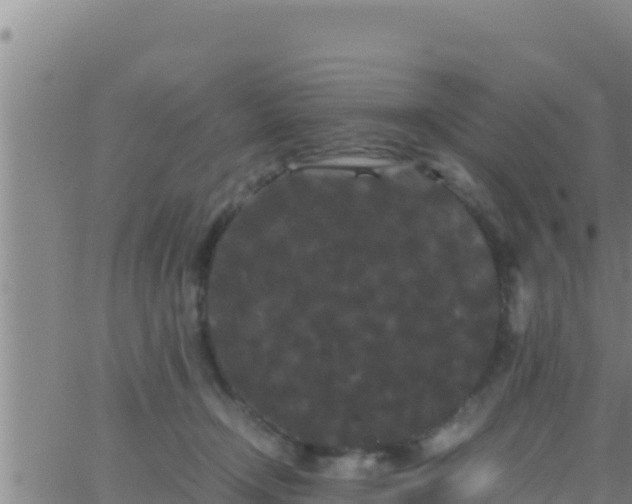 X0000062830366200601271957