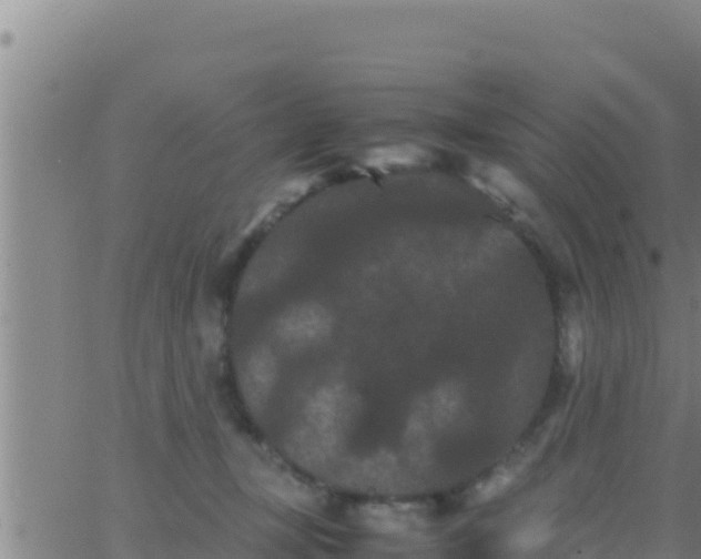 X0000062830367200601271957