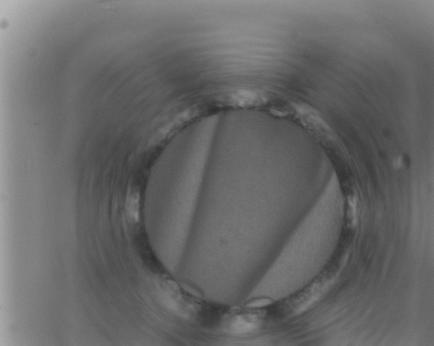 X0000062830368200601271957