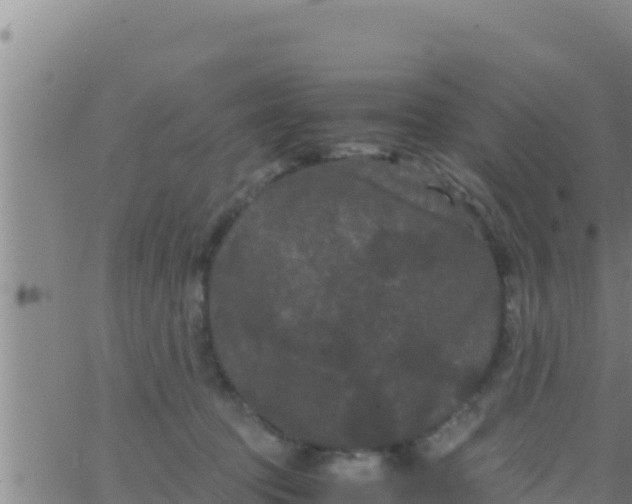 X0000062830369200601271957